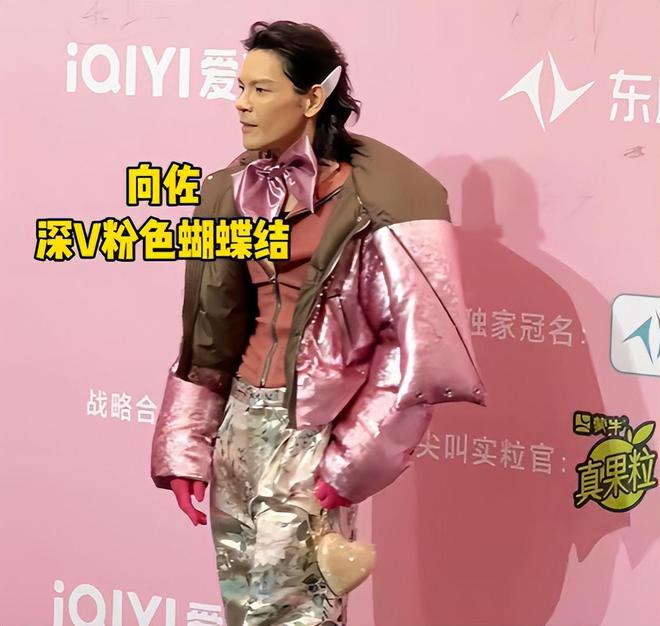 女”的向佐将向太30多年的体面全败光凯发k8国际澳门这一夜被批“不男不(图12)